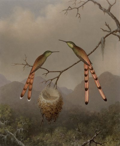 Dois beija-flores com as suas crias de Martin Johnson Heade