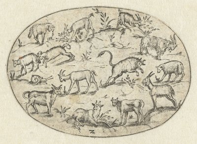 Oval com treze cabras Nev Thier Bvechlein (título da série) de Martin Pleginck