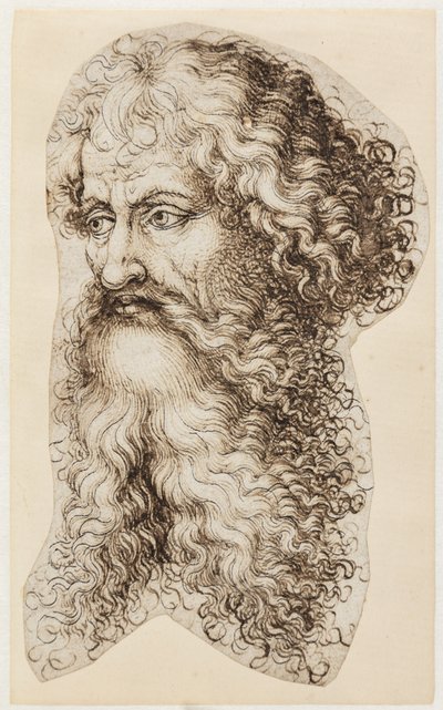 Cabeça de homem barbudo em perfil de três quartos à esquerda de Martin Schongauer