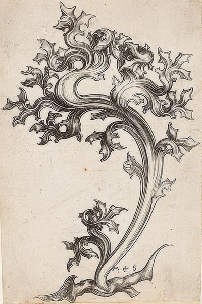Ornamento de folhas de um cardo de Martin Schongauer