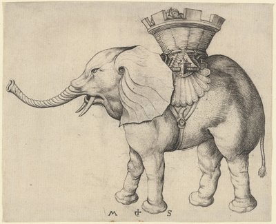 Elefanta de Martin Schongauer