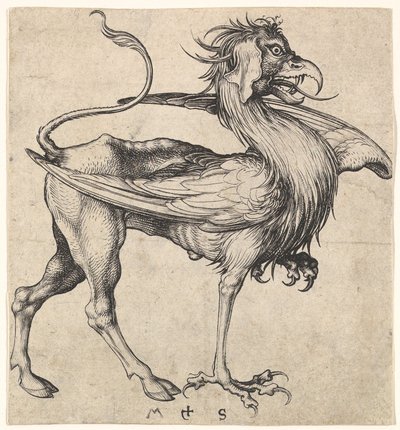 Griffin, ca. 1435-1491. de Martin Schongauer