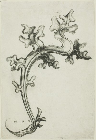 Ornamento de folhas de Martin Schongauer