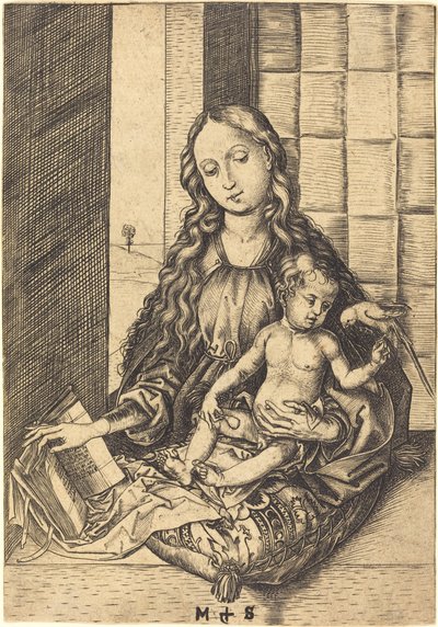 Madonna com um papagaio de Martin Schongauer