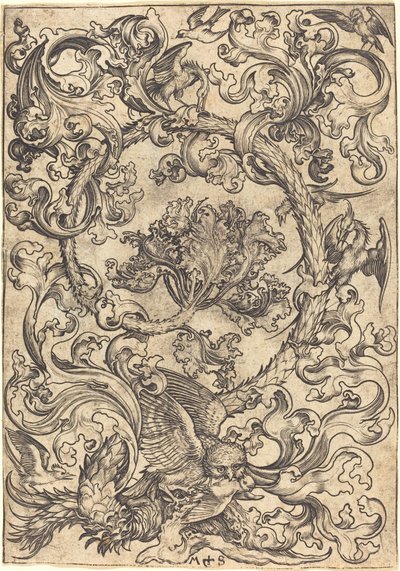 Ornamento com coruja zombada por pássaros diurnos de Martin Schongauer
