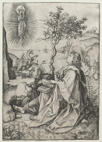 São João Evangelista na ilha de Patmos. de Martin Schongauer