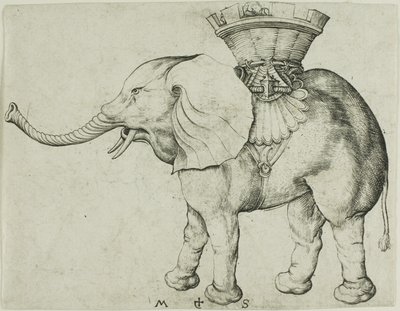 O Elefante de Martin Schongauer