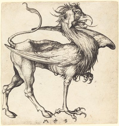O Grifo de Martin Schongauer