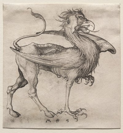 O Grifo de Martin Schongauer