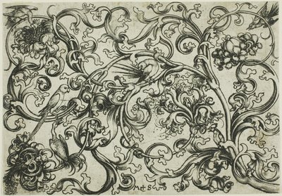 Ornamento de videira com papagaios e pássaros de Martin Schongauer