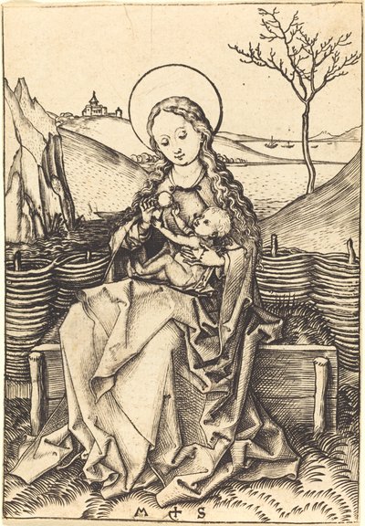 Virgem e criança em um banco gramado de Martin Schongauer