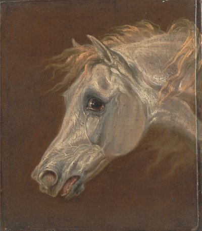 Cabeça de um cavalo árabe cinzento de Martin Theodore Ward