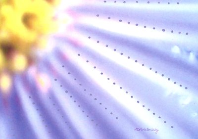 Flor-azul de Martina Konitzky