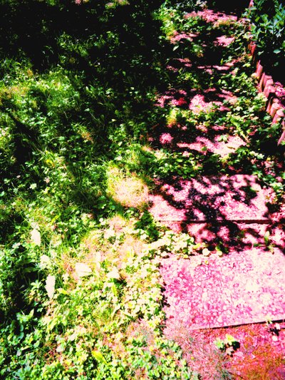 Príncipe e princesa ou grama e caminho do jardim de Martina Konitzky