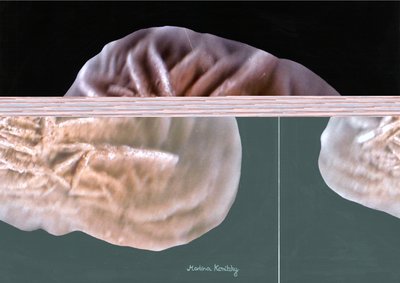 rosa areia de Martina Konitzky