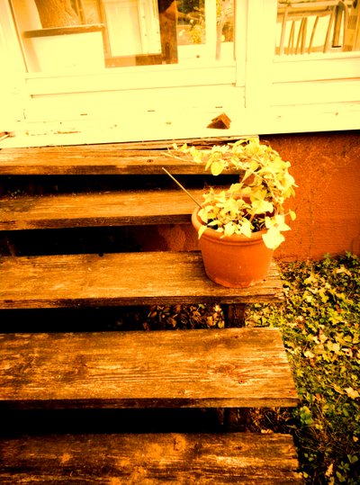 Verandatreppe de Martina Konitzky