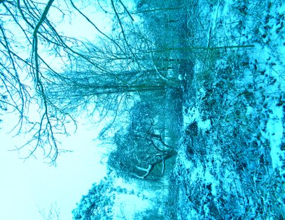 Azul inverno de Martina Konitzky