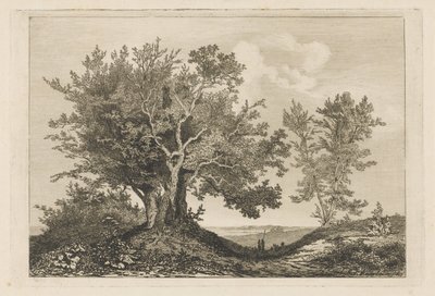 Estrada secundária entre as duas árvores de Martinus Antonius Kuytenbrouwer jr.