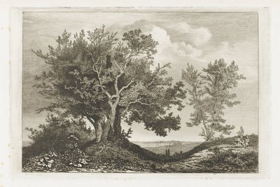 Estrada rural entre os dois lotes de árvores de Martinus Antonius Kuytenbrouwer jr.