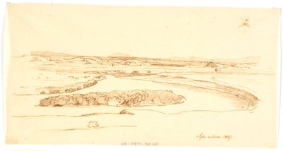 azedinha de Martinus Rørbye