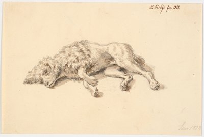 cachorro poodle deitado de Martinus Rørbye