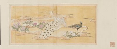 Esboço preparatório para uma pintura sobre biombo de Maruyama Okyo