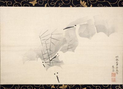 Garças-reais brancas, 1769. de Maruyama Okyo