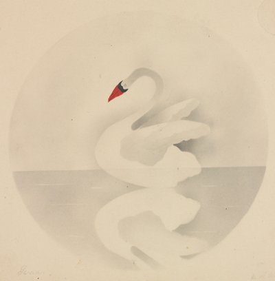 Cisne. de Mary Altha Nims