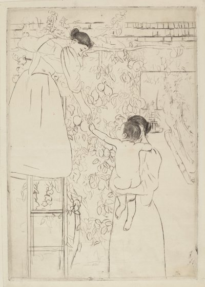 Colhendo Frutas de Mary Cassatt
