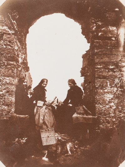 A festa do piquenique, 1854 (foto) de Mary Dillwyn
