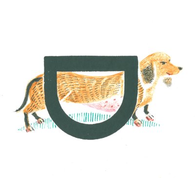 D é para o dachshund de Mary Kuper