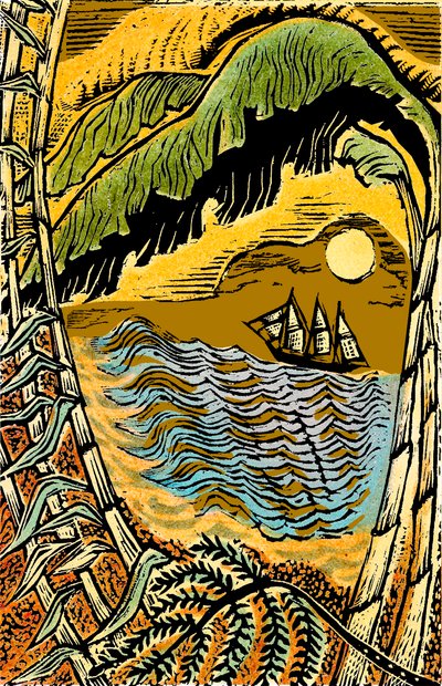 Vento alto na Jamaica, 2006 (gravura em vinil, cor estampada) de Mary Kuper