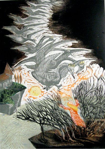 Os Cisnes Selvagens de Mary Kuper