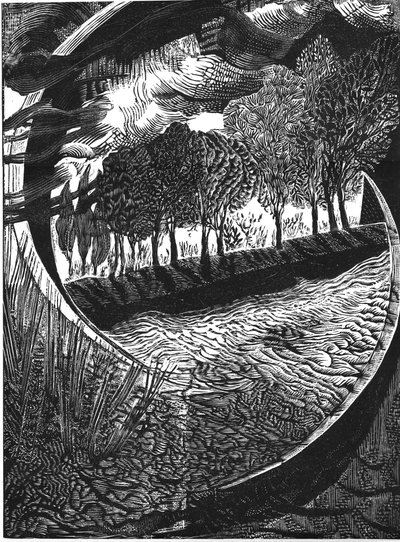 "...o nosso tipo peculiar de existência aqui... David Jones... de Mary Kuper