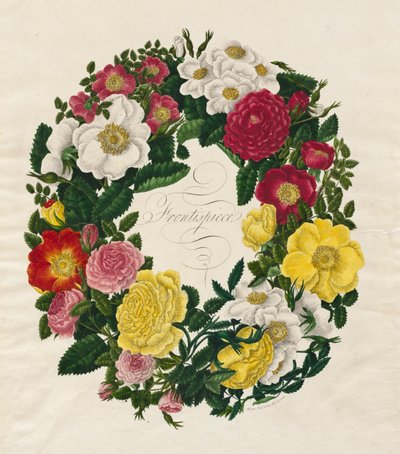 Uma coroa de rosas, 1799. de Mary Lawrence