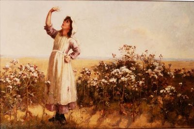 Thistledown de Mary Louise Breakell
