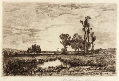 Gado numa lagoa de Mary Nimmo Moran