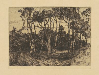 Solidão de Mary Nimmo Moran