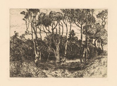 Solidão de Mary Nimmo Moran