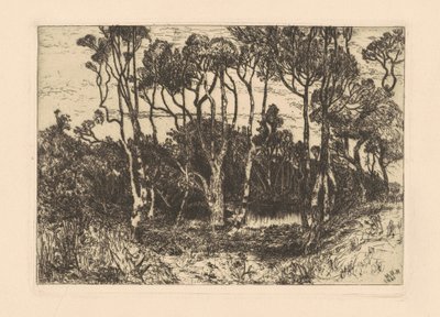 Solidão de Mary Nimmo Moran