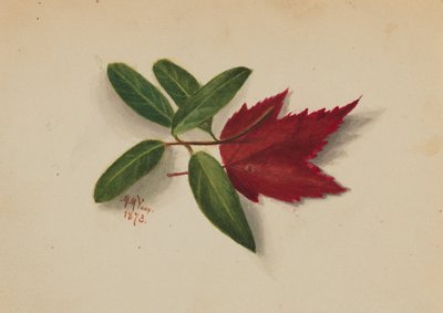 Sem título, 1873. de Mary Vaux Walcott