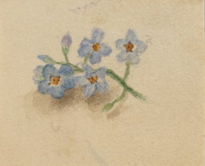 Sem título, 1874. de Mary Vaux Walcott