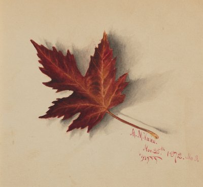 Sem título Folha de Outono, 1872. de Mary Vaux Walcott
