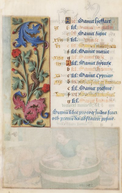 MS Lewis EM 11: 22v Painel de flores com acanto, rosa e lagarta, das Horas de Luís XII, 1498-99 (têmpera e ouro em pergaminho) de Master Claude de France