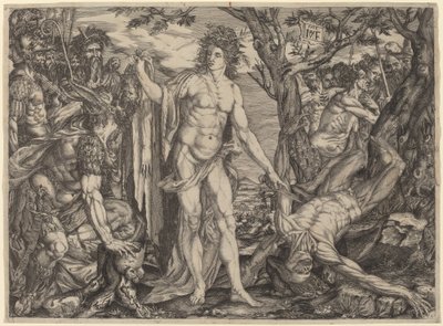 Apolo e Marsias de Master MF