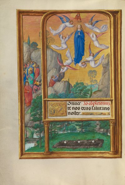 A Assunção da Virgem de Master of James IV of Scotland