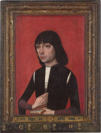 Holandês: Retrato de um jovem da família Fonseca Retrato de um jovem da família Fonseca de Master of Portraits of Princes