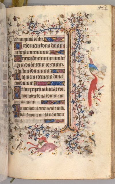 Horas de Carlos Nobre, rei de Navarra 1361-1425: fol. 225r, Texto, c. 1405 de Master of the Brussels Initials and Associates