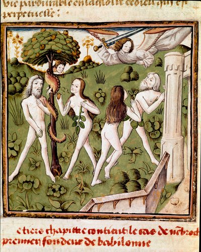 Adão e Eva colhendo a fruta defendida Miniatura do Mestre do Campeão das Senhoras (século XV) do manuscrito "Des hommes illustres" de Giovanni Boccaccio (Jean Boccaccio) (1313-1375). Século XV. Carpentras. Biblioteca Inguimbertine de Master of the Champion des Dames