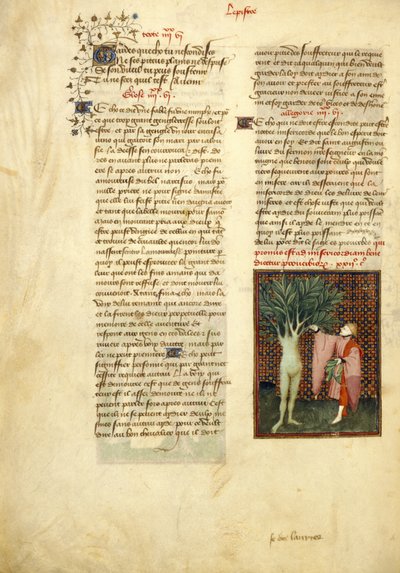 Harley 4431 , f.134v Apollo e Daphne, das 